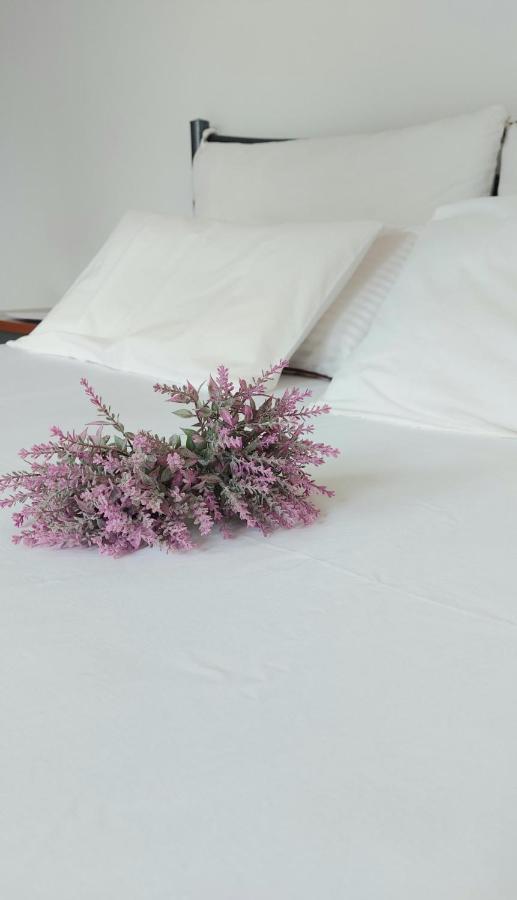 Fbm Anagenessis - Ευ Ζην Apartment Édessa Ngoại thất bức ảnh